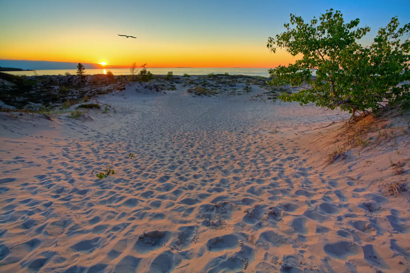 How to Succeed with Your Holland Vacation Rental: A Strategic Guide for Short-Term Hosts