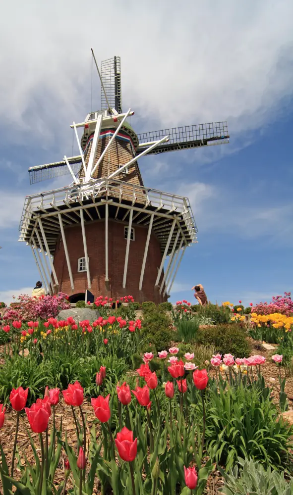 Holland Vacation Property Management
